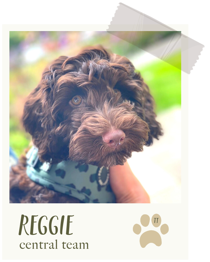 Reggie