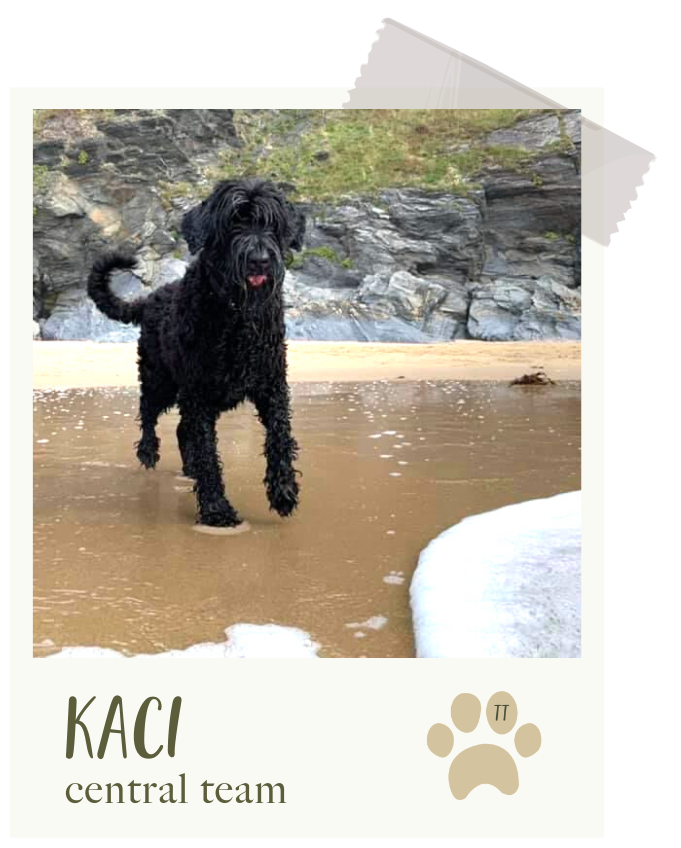 Kaci
