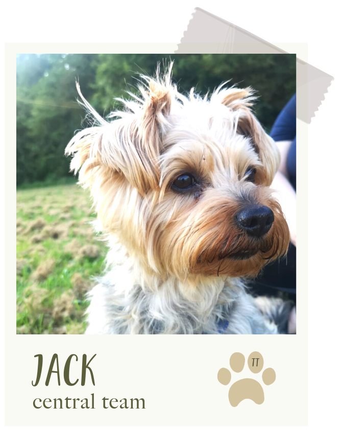 Jack