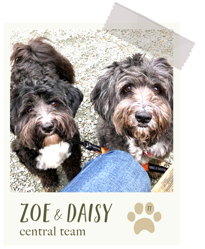 Zoe & Daisy