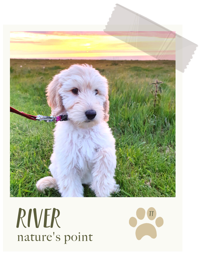 River
