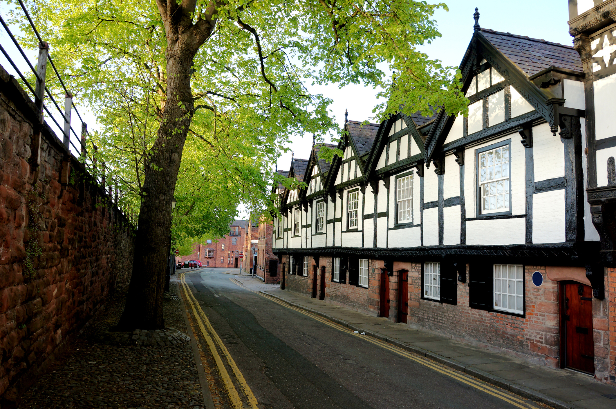 chester rows