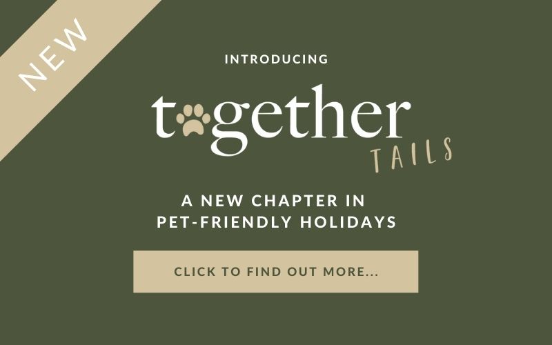 Together Tails