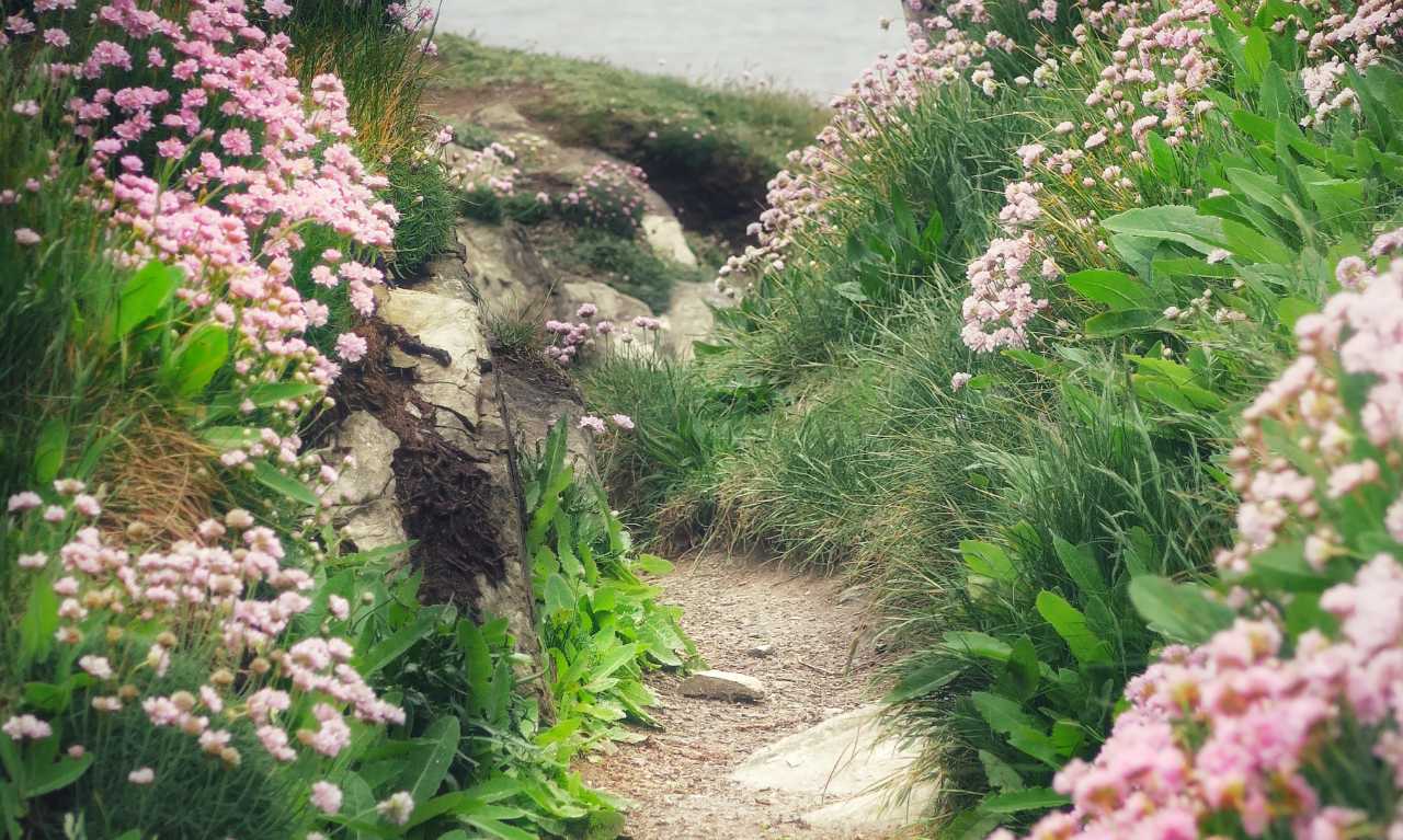 Newquay walks cornwall