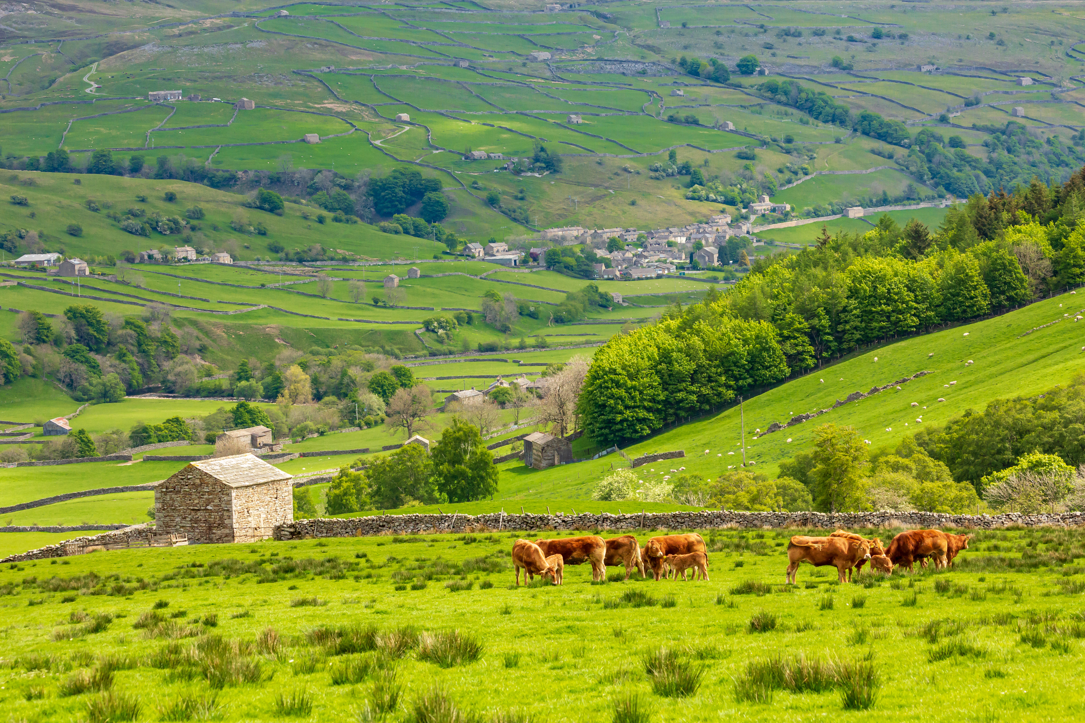 yorkshire