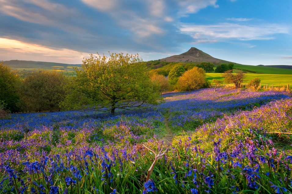 North York Moors