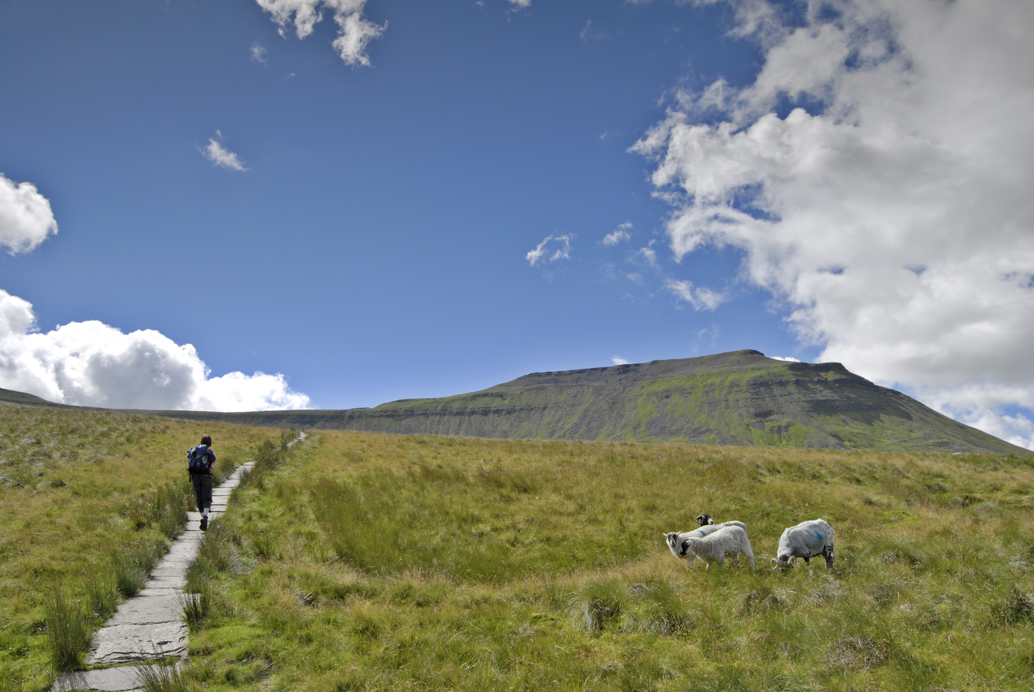 three peaks